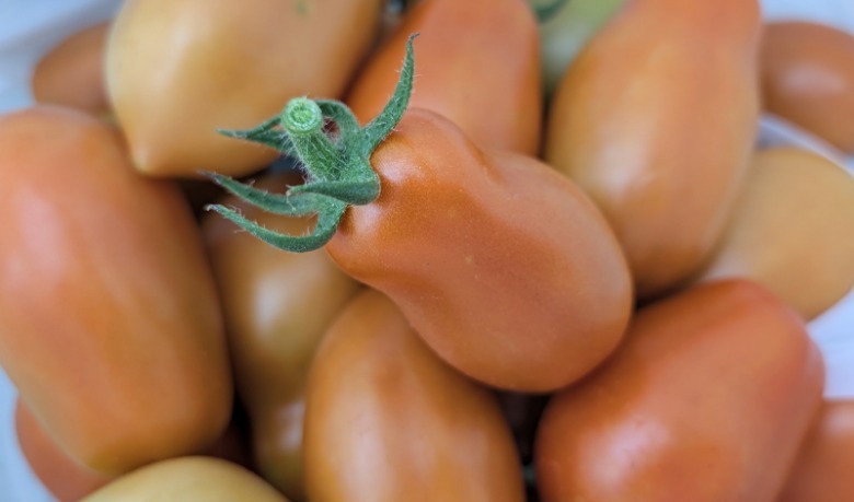 Tomatoes macro view.