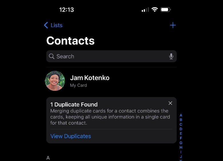 iPhone Contacts View Duplicates