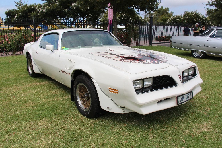 White 1977 Pontiac Firebird Trans Am parked on grass