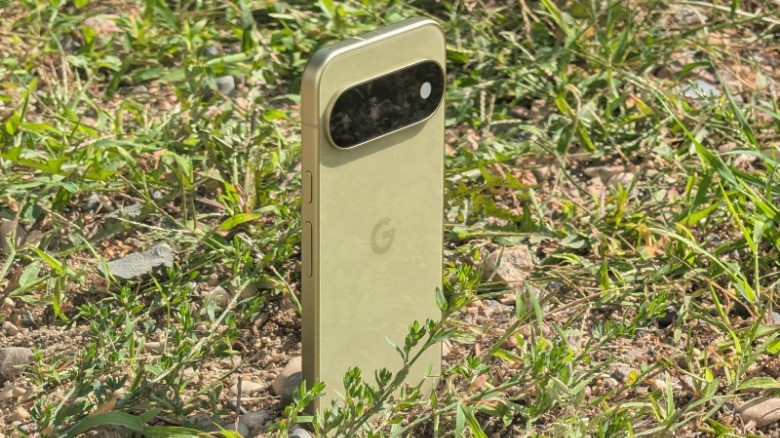 Google Pixel 11 in grass.
