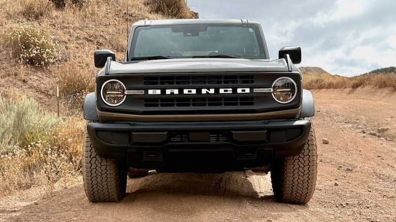 Ford Bronco Base front grille
