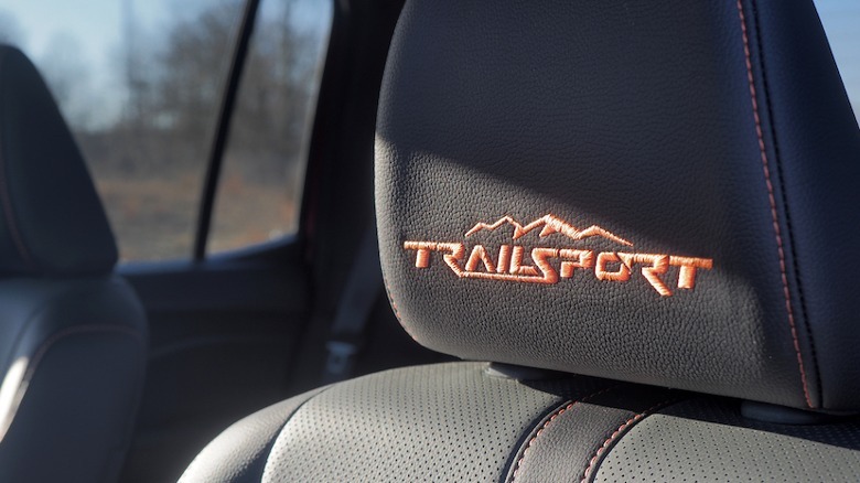 TrailSport headrest