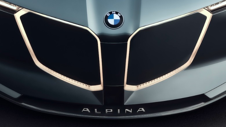 Vision BMW ALPINA grille detail