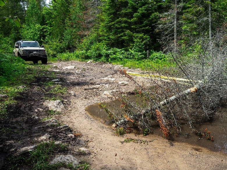 2022 Ford Bronco Everglades pulls a downed tree off the trail