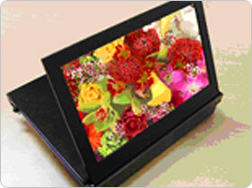 Kodak orders OLED panels for digital photo frames