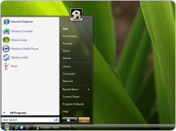 Windows Vista finally attains 30% share