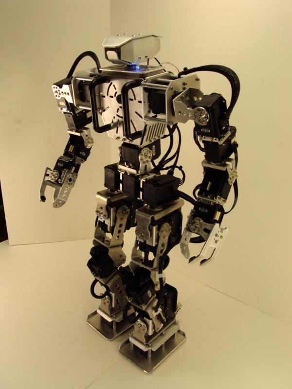 building a humanoid robot
