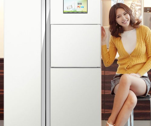 Samsung Zipel WiFi refrigerator packs DLNA streaming & Google Calendar