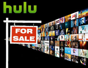 DirecTV drops out of Hulu bid, Starz wanted Netflix to ...