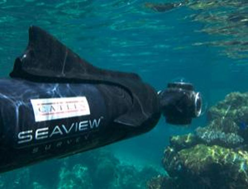 Seaview is Google Street View for the oceans