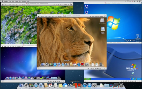 windows for mac lion