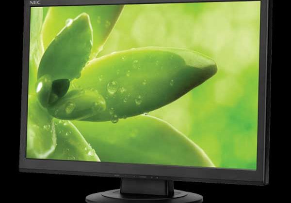 NEC unveils new budget-priced 19-inch AS192WM computer display