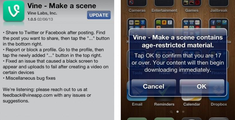 Vine implements 17+ age rating and reporting system