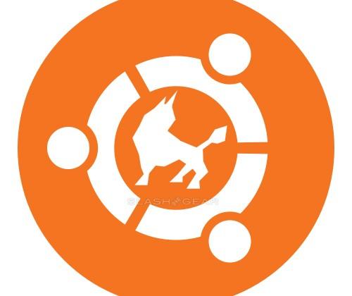 Official Chinese OS in works as government signs with Ubuntu