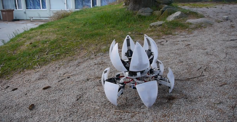 morphex robot for sale