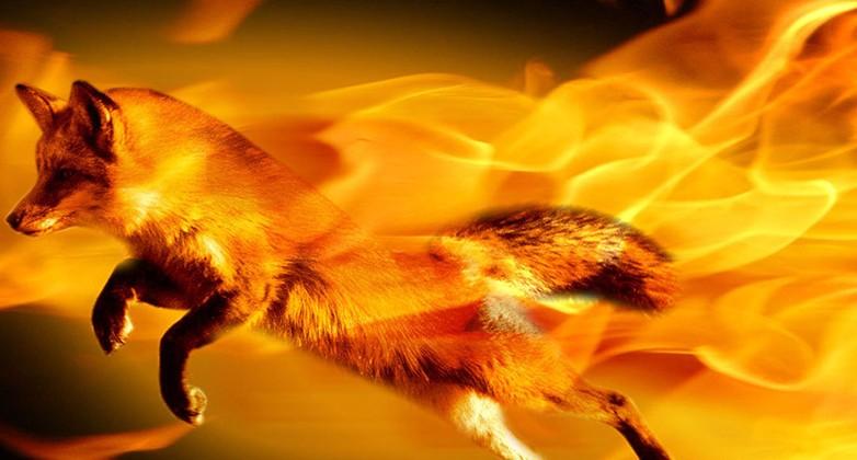 Mozilla CEO steps down after anti-gay marriage donation, subsequent outcry