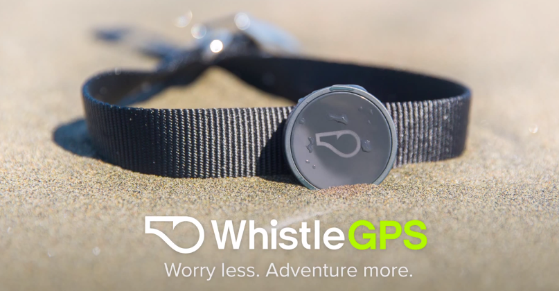 whistle tracking