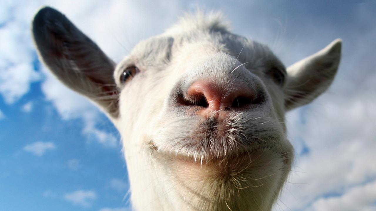 Goat Simulator Coming To Ios Android And Xbox Slashgear