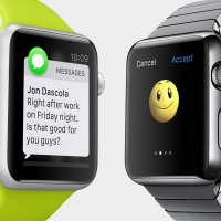 apple watch se wrist size