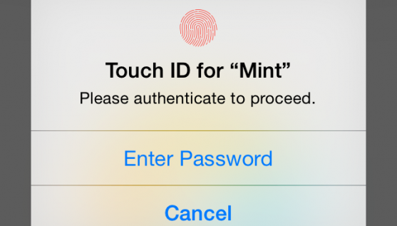 TouchID_Mint_Alert_View-copy1-557x317
