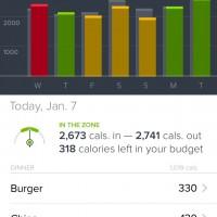 fitbit not logging sleep