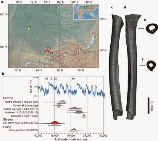 This 45,000-year-old leg bone will change how old you think we are