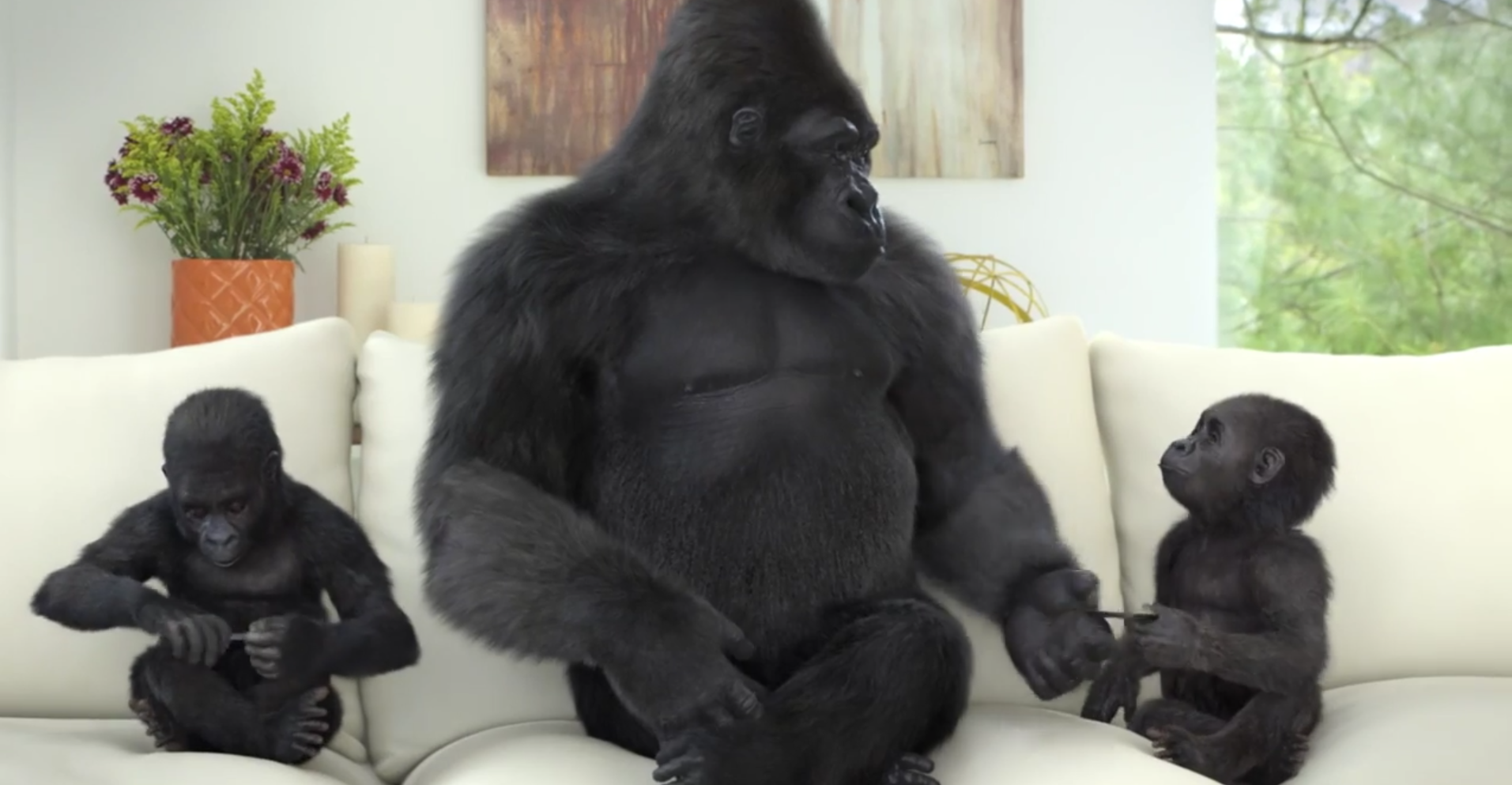 Gorilla Glass 4 will bring in better drop protection SlashGear