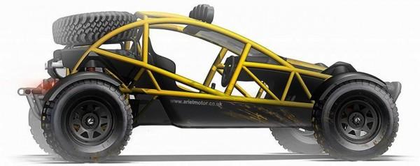 ariel atom buggy