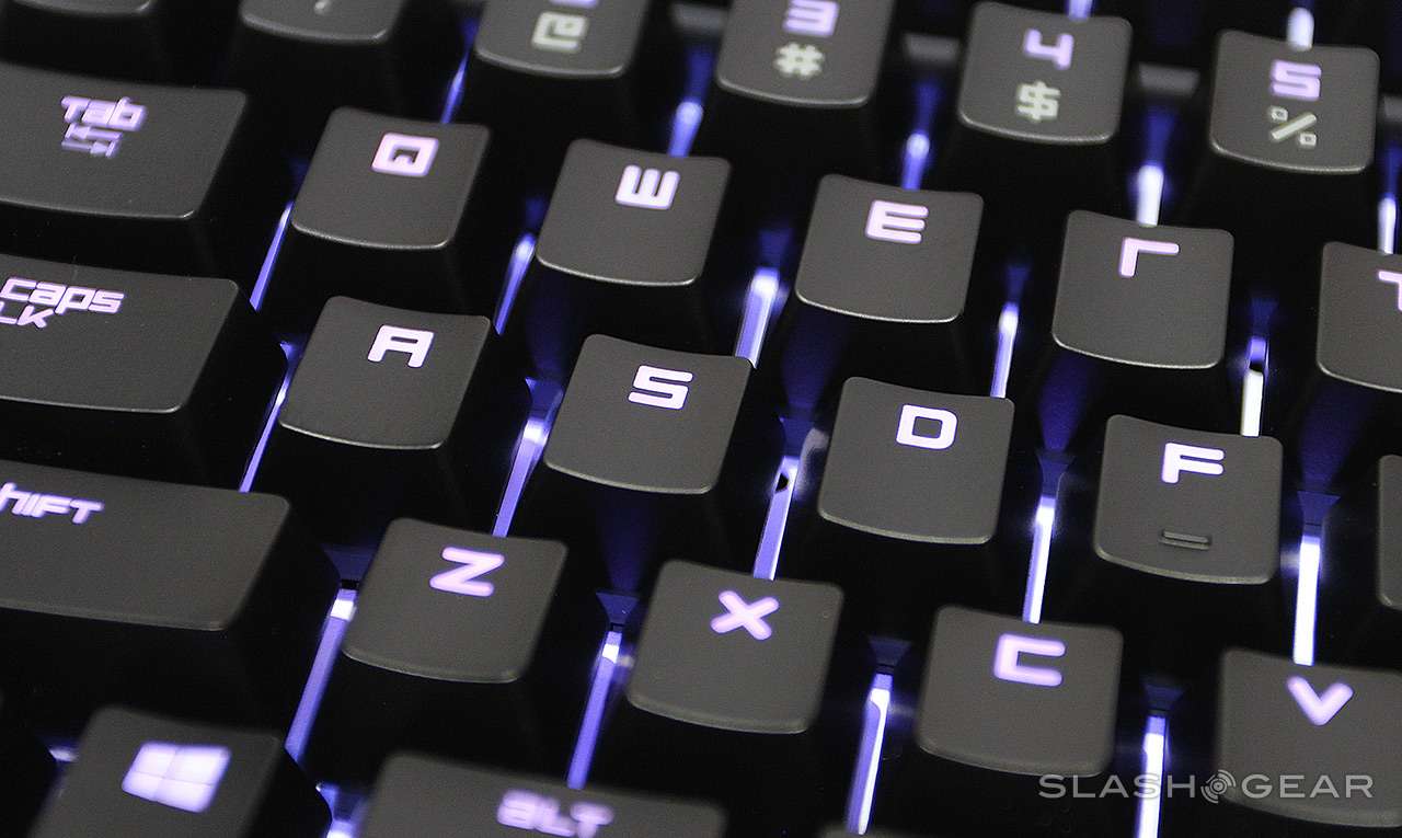 wasdslashgear