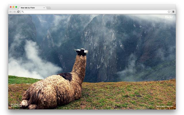 Flickr Tab for Chrome brings beautiful pictures to your new tab