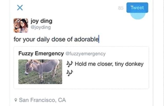 Twitter Revamps Quote Tweet Function For Iphone And Web Slashgear