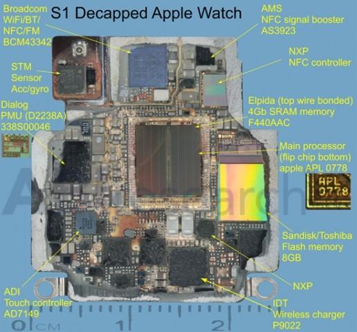 apple watch 5 apple