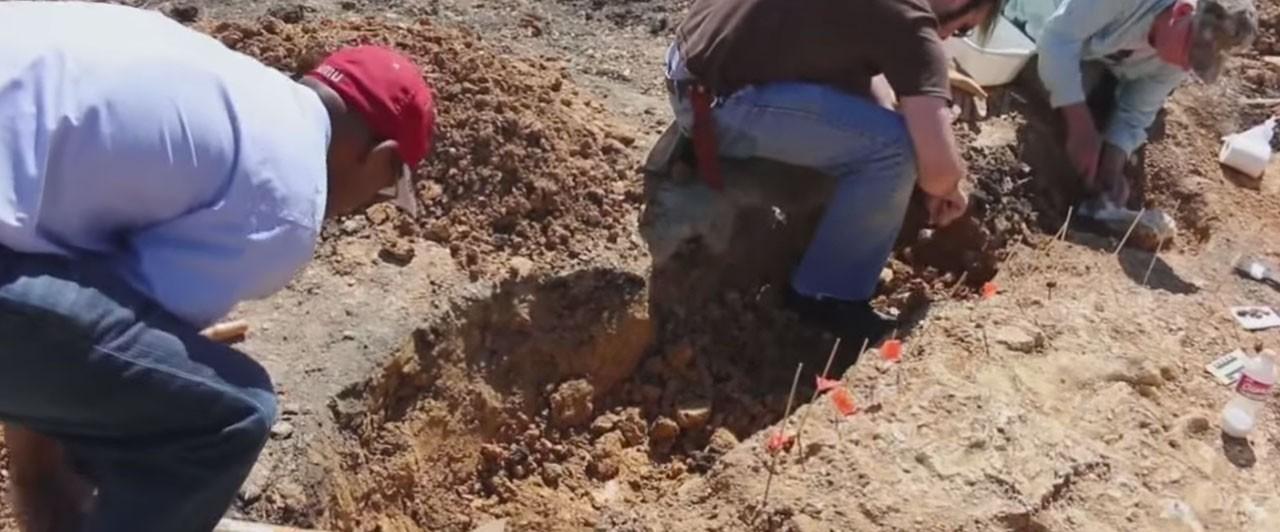 diggingout