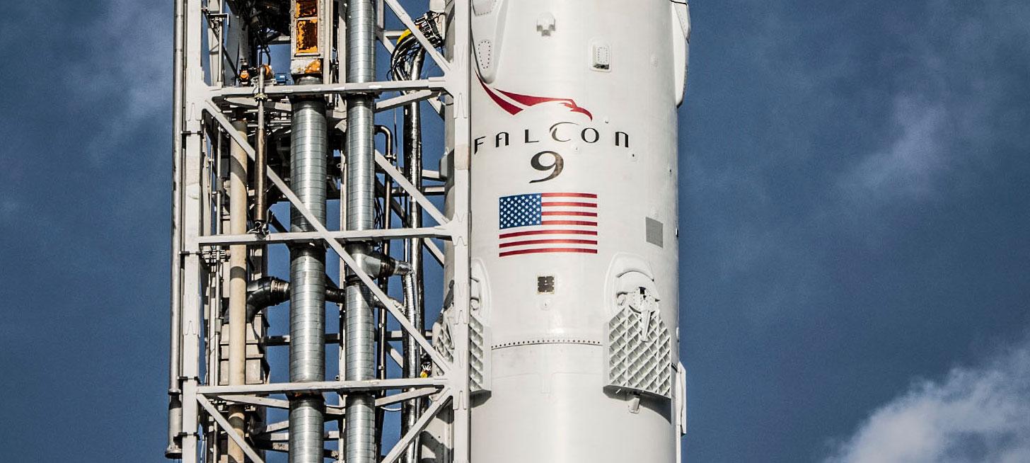 falcon