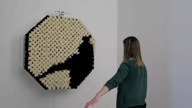 PomPom Mirror reflects your furry side