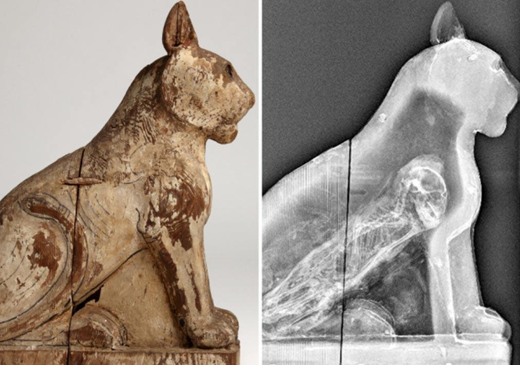 wooden-coffin-of-a-mummified-cat