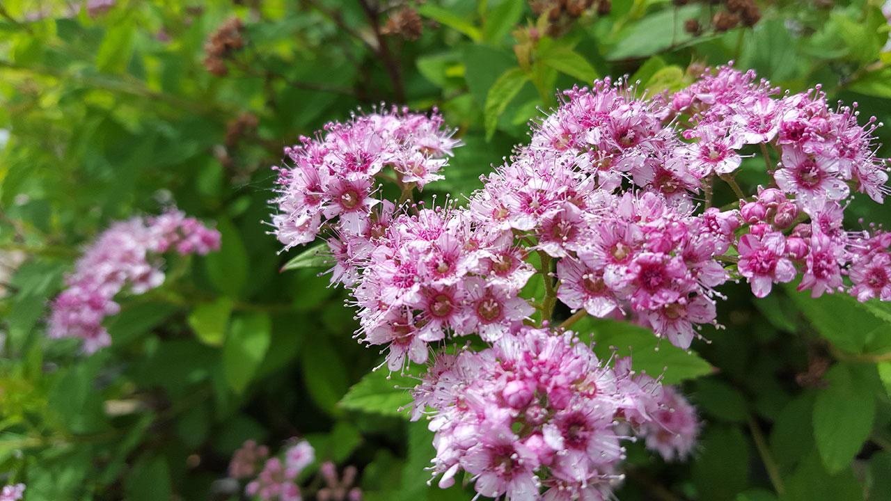 20150618_124520
