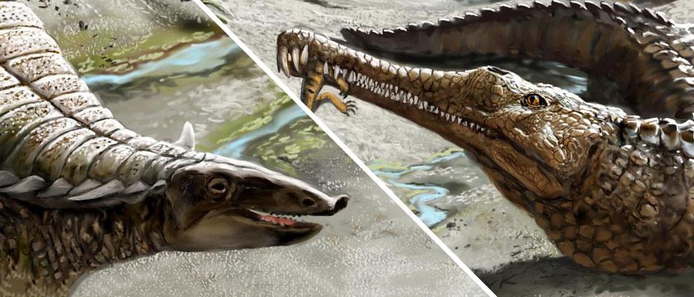 While dinosaurs didn’t rule the ancient tropics, alligators did
