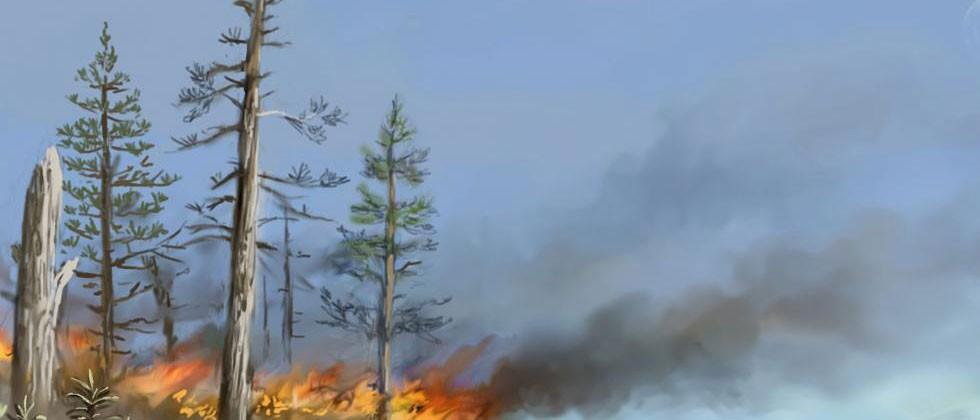 fire