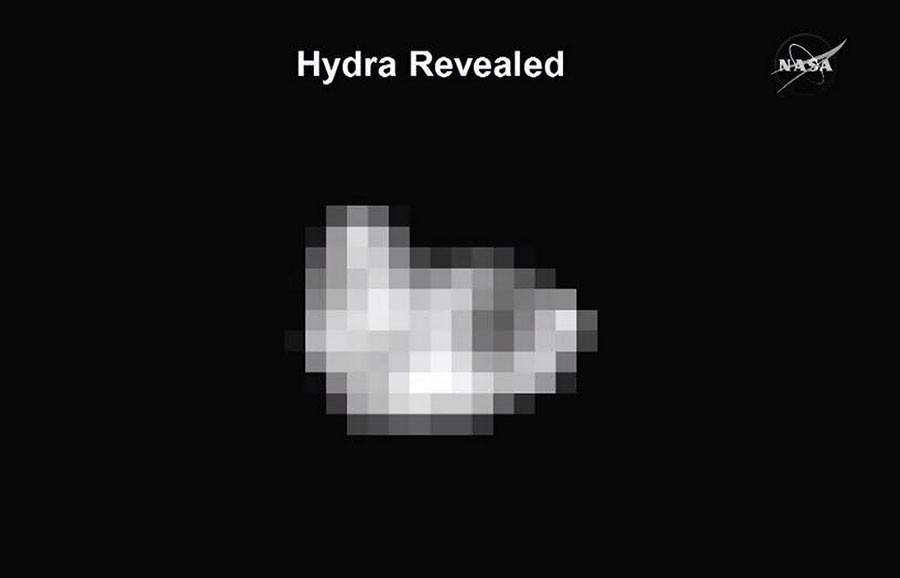 hydra