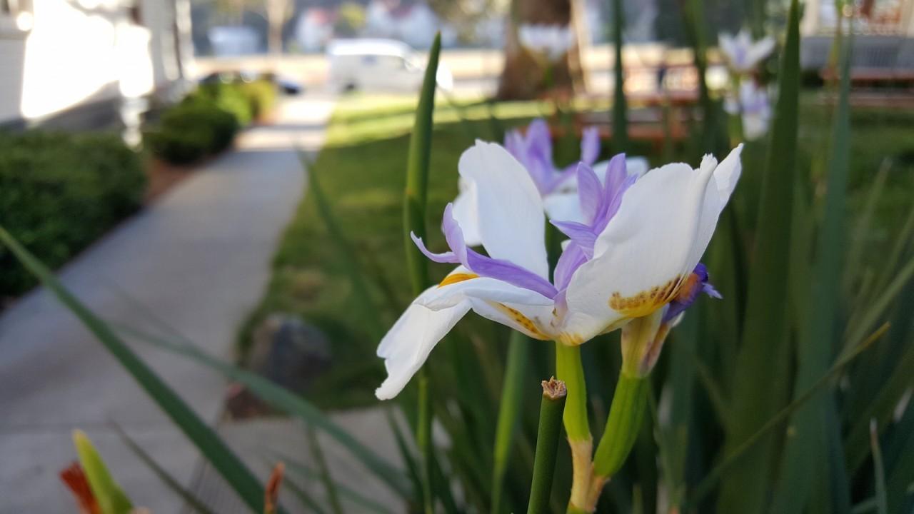 20150824_173808