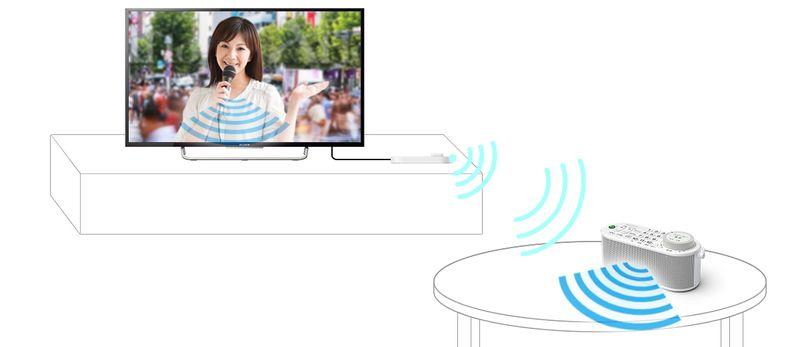 Sony combines TV remote with wireless speaker for Japan