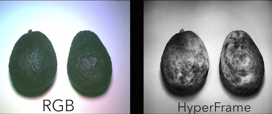 This cheap camera can see details the naked eye can't