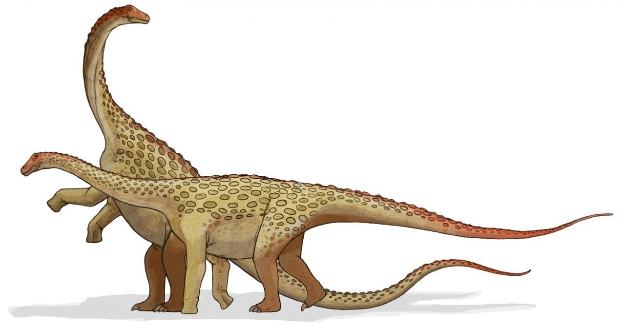 Saltasaurus_dinosaur