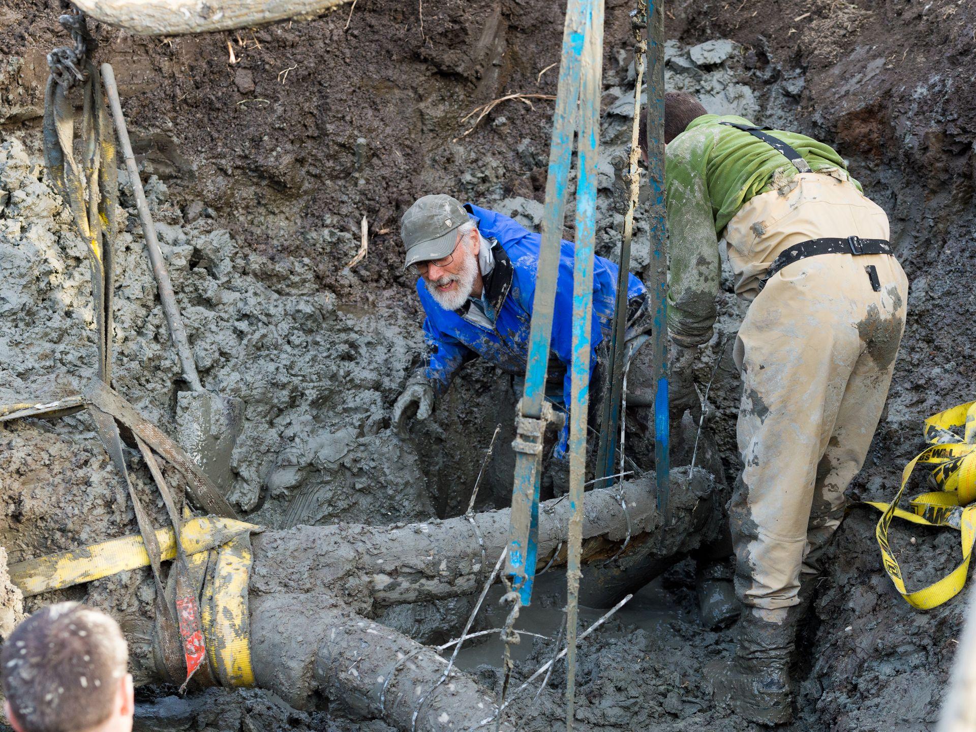 mammoth_bones_03