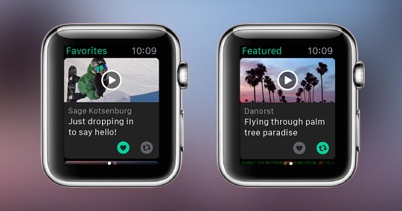 Vine arrives on Apple Watch, adds new discovery tool for iPhone