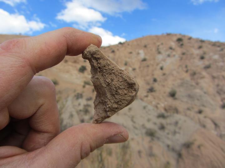 Giant tortoise fossils hint at Andes Mountains' history SlashGear
