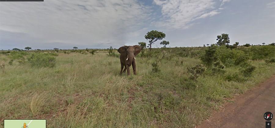 Google Maps explores South Africa - SlashGear