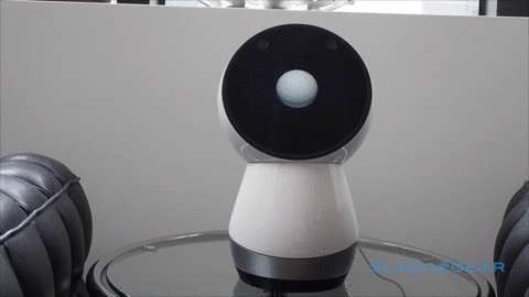 jibo-1