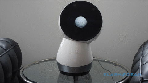 jibo-2